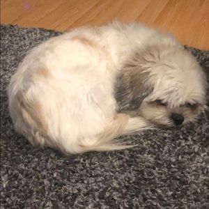 Meet your Posher, Nora